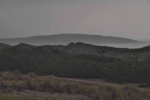 Bodega dunes